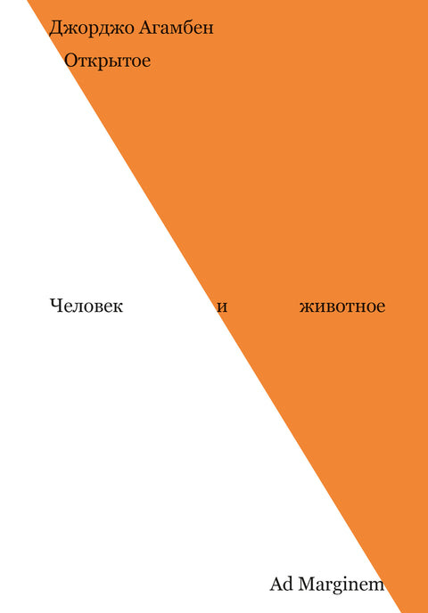 Открытое. Человек и животное