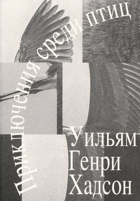 Приключения среди птиц