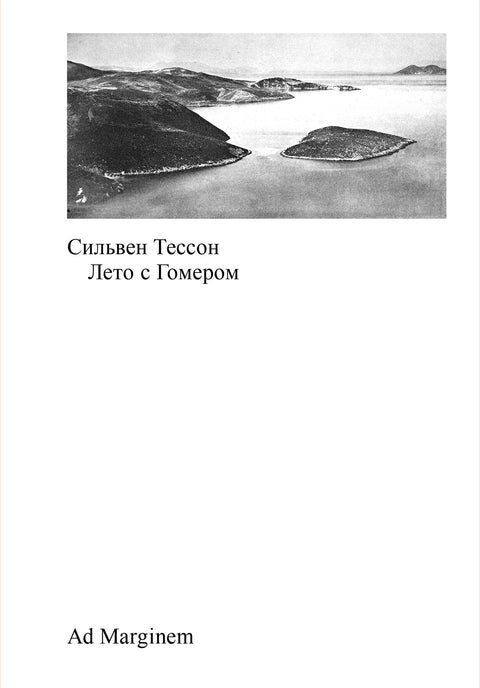 Лето с Гомером