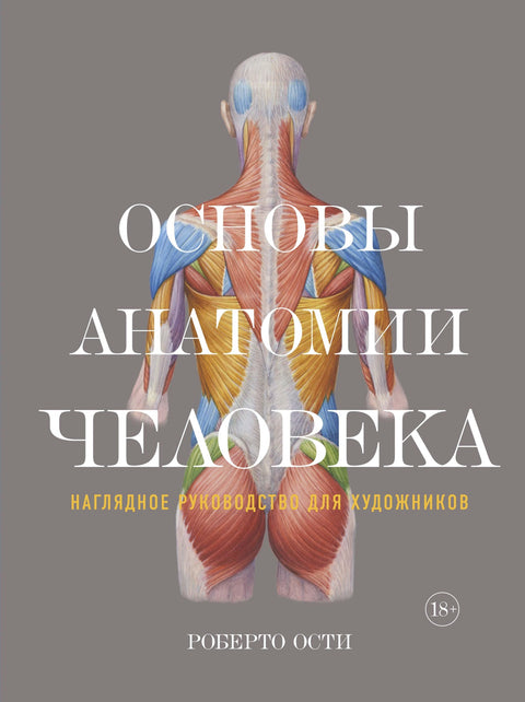 Основы анатомии человека: Наглядное руководство для художников - BH Book Store