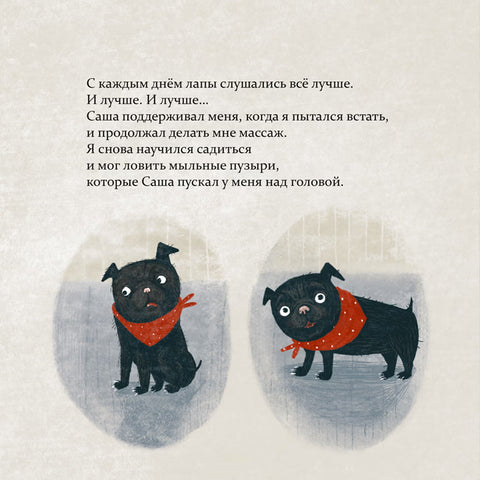 Марсель встает на лапы