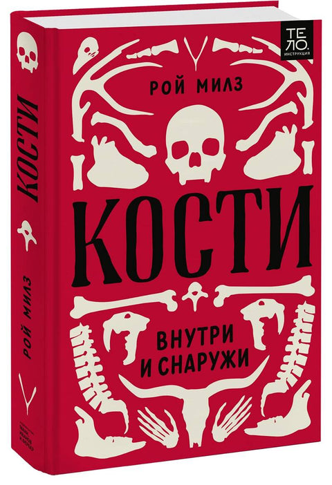 Кости: внутри и снаружи - BH Book Store