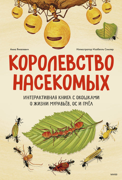 Королевство насекомых. Интерактивная книга с окошками о жизни муравьёв, ос и пчёл