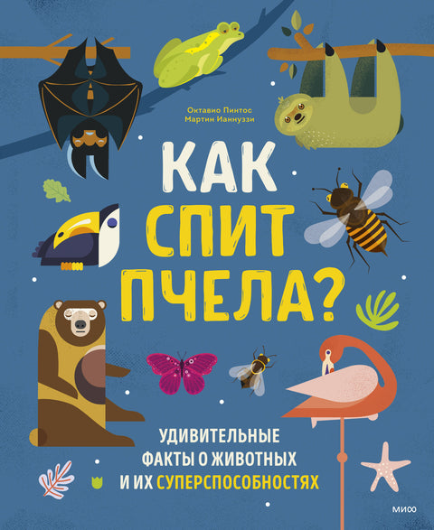 Как спит пчела? Удивительные факты о животных и их суперспособностях - BH Book Store